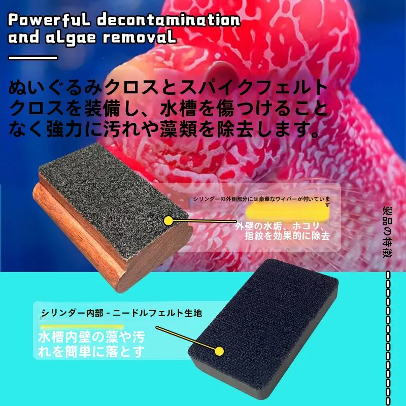 水槽の藻が増えるのはなぜ？強力マグネット付きガラスクリーナーで解決できる本当の方法とは