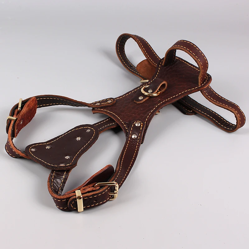 犬のお散歩グッズをコスパ良く揃える方法　完全ガイド