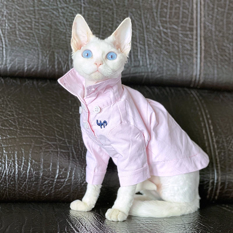 猫飼いが買ってよかったもの・悪かったもの正直に言う｜ペット服の実測ガイド