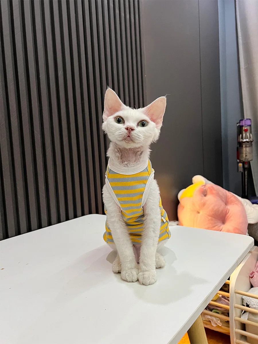 猫飼いが買ってよかったもの・悪かったもの正直に言う｜無毛猫用ルームウェアの選び方徹底解説