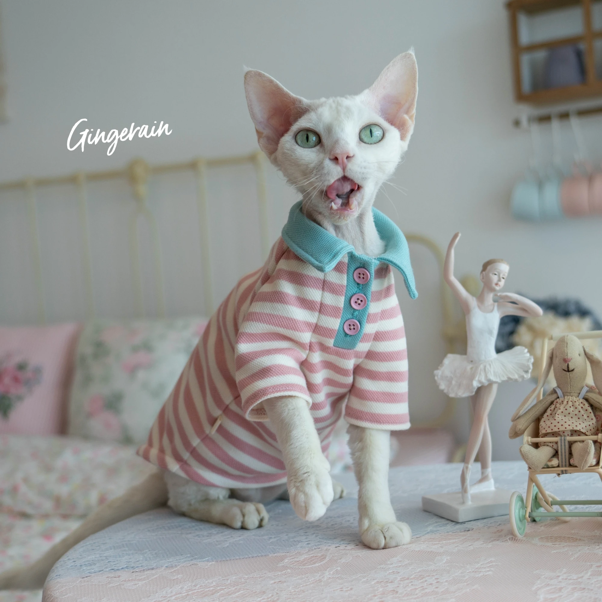 猫用衣服 ストライプPOLOシャツ キャンディカラー 可愛い：愛猫の日常に最適な着用シーンとサイズ対応の実証