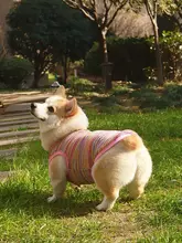 犬用衣服【春夏向け・抜け毛防止・紫外線対策・汚れ防止・柴犬・コーギー・薄手ベスト】