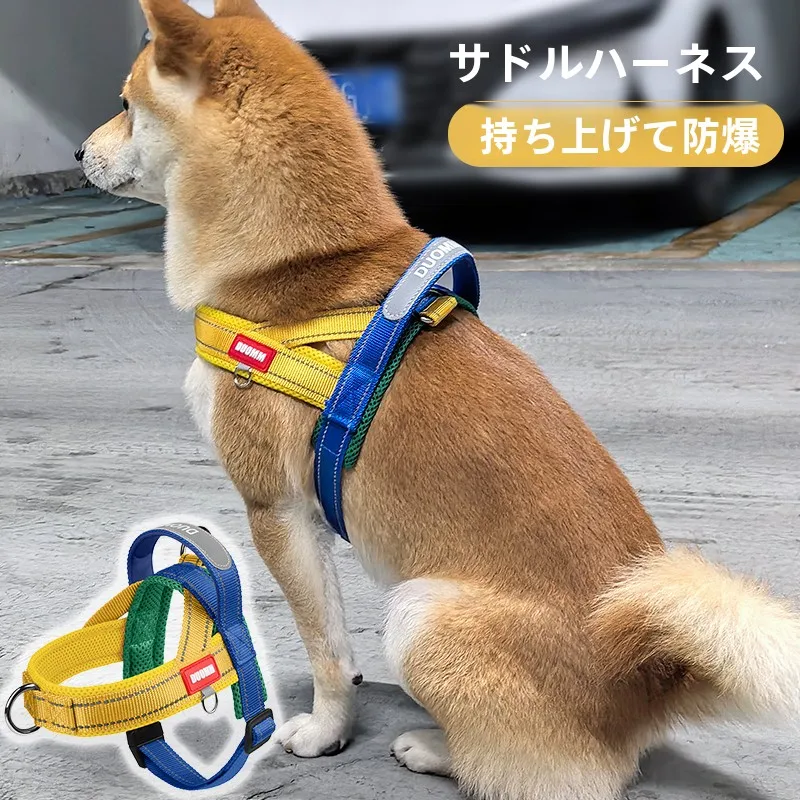 中小型犬用リード【柴犬・ビションフリーゼ対応・脱走防止】の実用性と選び方