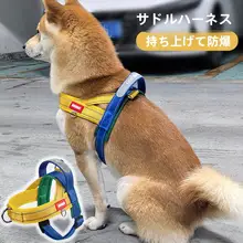 防爆設計の中小型犬用リード【柴犬・ビションフリーゼ対応・無駄な脱走防止】