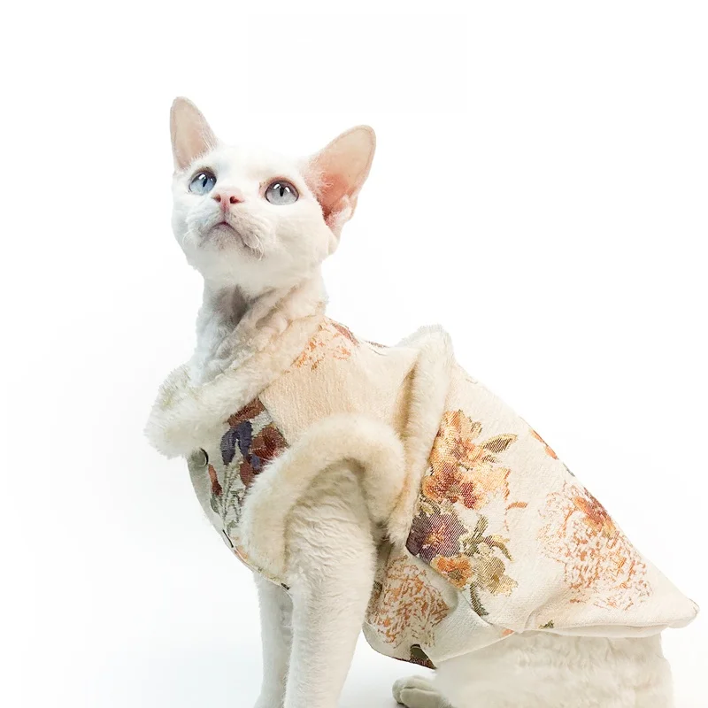 猫tとは何か？猫用アイテム選びの本質と、5選厳選の実用性を解き明かす