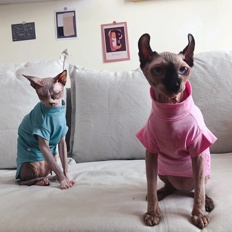 春夏用スフィンクス猫用薄手モダールコットンTシャツ：ペット猫飼いやすいデザインの実用性を検証