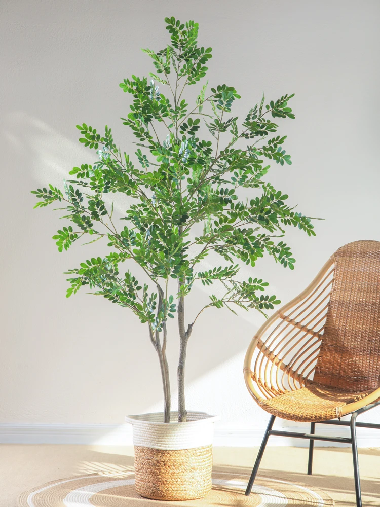 観葉植物のプレゼントで失敗しない「おしゃれ」な選び方は？