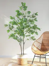 ホンカイツリ 植物 装飾 景観 屋内用