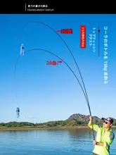 高碳素材の超軽量ショートヘッドフィッシングロッド【多用途・硬め・手竿】（セットアップ対応）