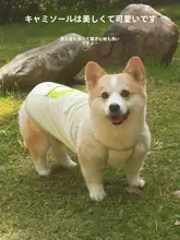 犬用冷却ベスト【春夏用・柴犬・コーギー・抜け毛防止・紫外線対策】（セットアップ対応）
