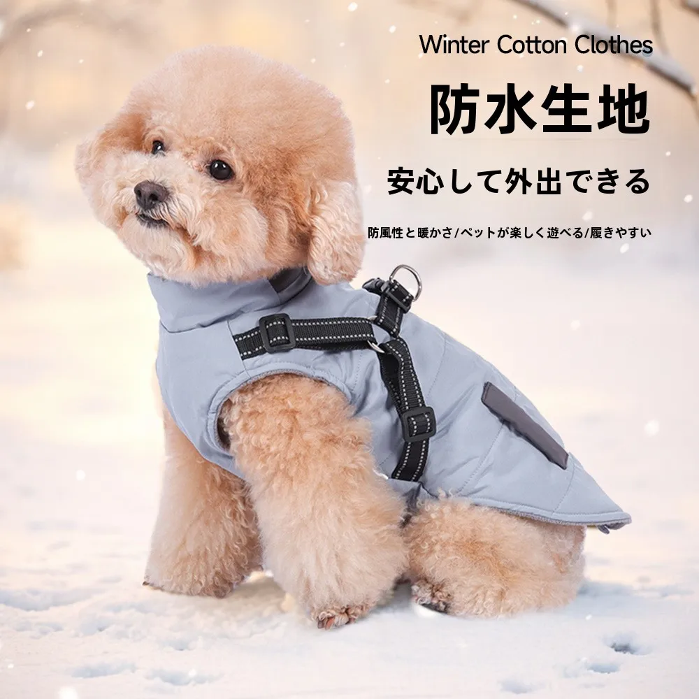 犬のお散歩グッズをコスパ良く揃える方法｜防水風防コートの実用性と選び方の完全ガイド