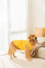 中大型犬用 秋冬暖かいベスト【ゴールデンレトリバー・ラブラドール対応・クッション素材】