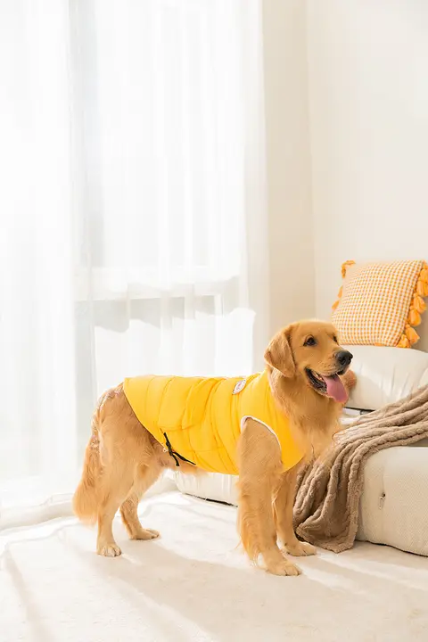 中大型犬用 秋冬暖かいベスト【ゴールデンレトリバー・ラブラドール対応・クッション素材】