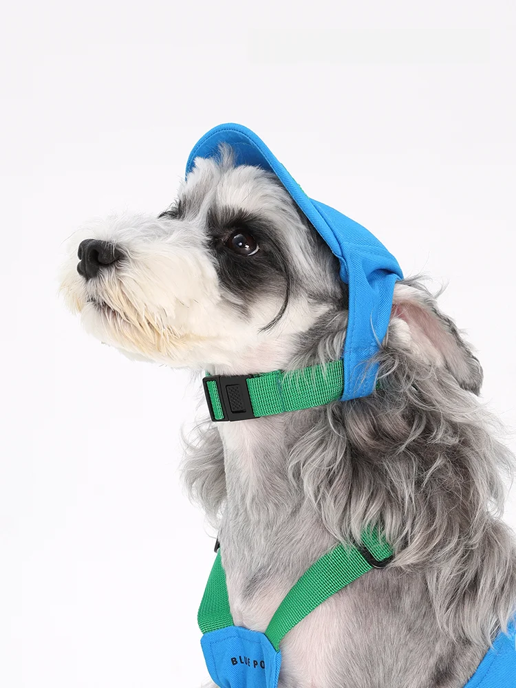 犬の帽子を選ぶときに迷うなら、この1つのポイントで解決できる？