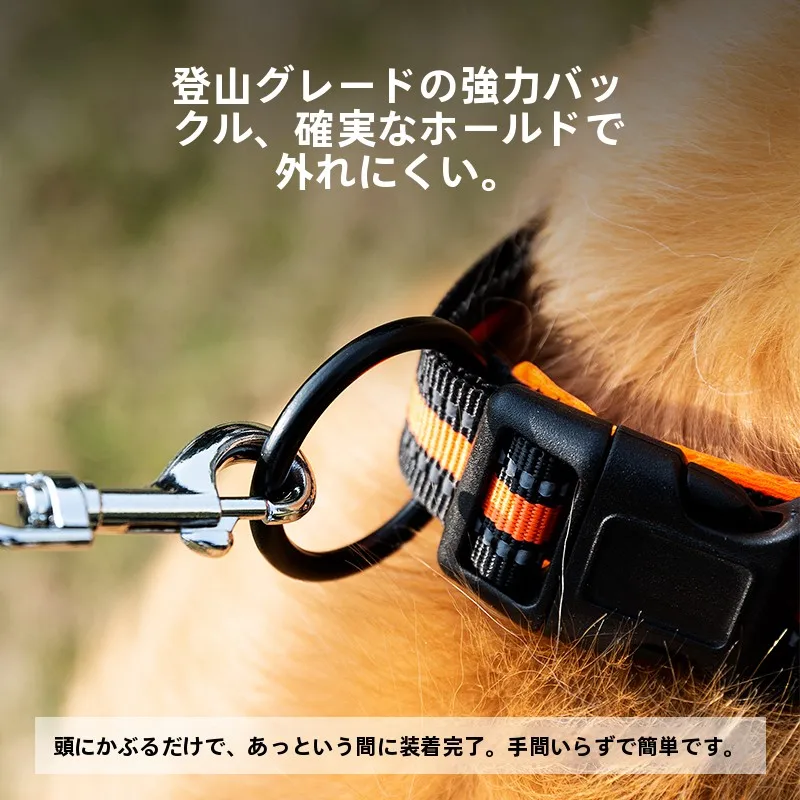 犬首輪とは何か：中大型犬用ゴールド＆柴犬アクセサリーの実用性と設計原理