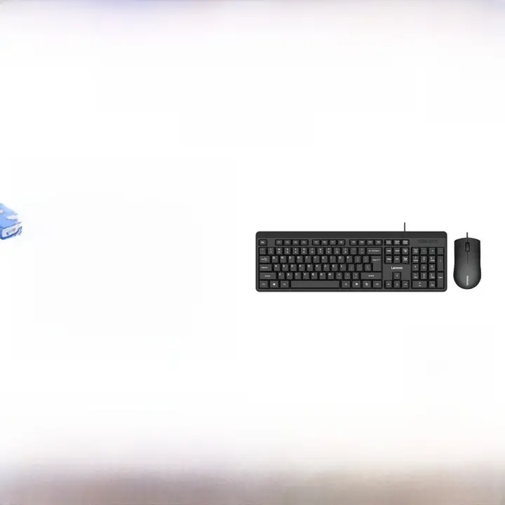 Lenovo オフィス向け有線キーボード＆マウスセット【デスクトップパソコン対応・ビジネス用】