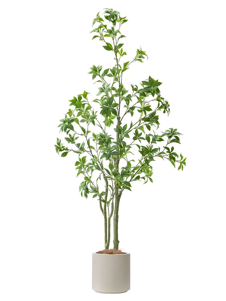 フル活用した節約生活のコツ｜植物で空間をリフレッシュする完全ガイド