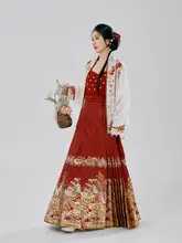 華やかなデザインの馬面スカート【明朝風・紅色・半身スカート】（セットアップ対応）