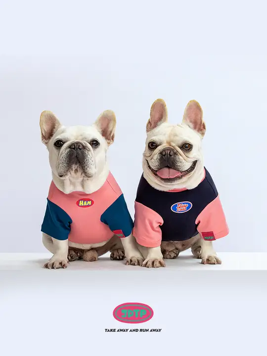 春用コットンパネルTシャツ【犬服・ビション・テディ・シュナウザー・ハイランド用】