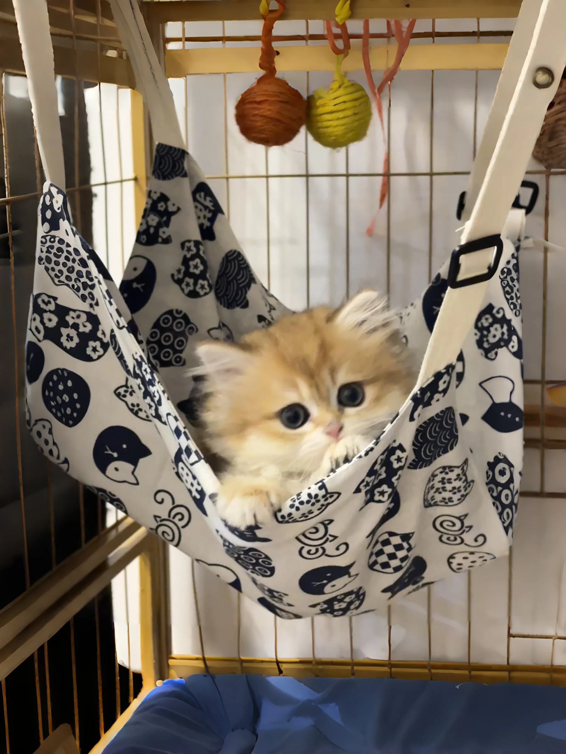 猫用吊りハンモック：通気性に優れた夏季室内避難グッズの実用性と選び方