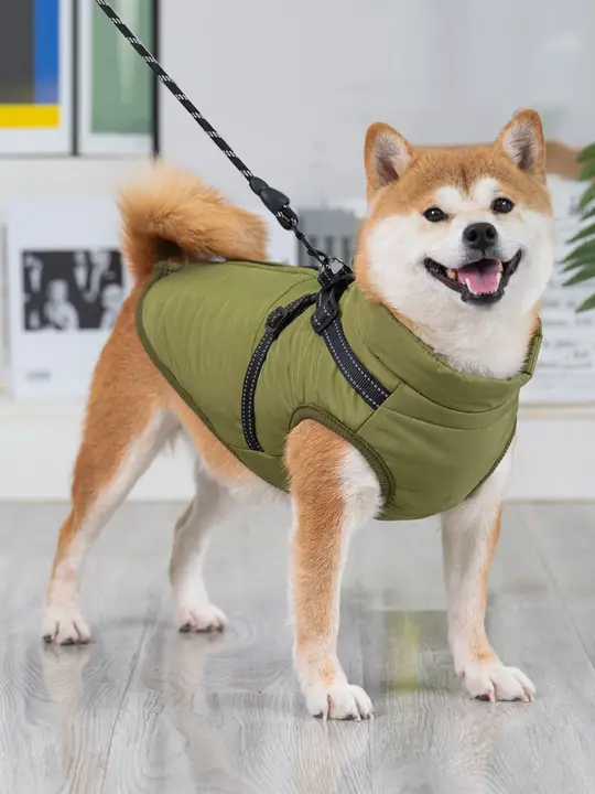 柴犬・コーギー・テディ用 秋冬用 コットンペットウェア【中小型犬・リード付き】