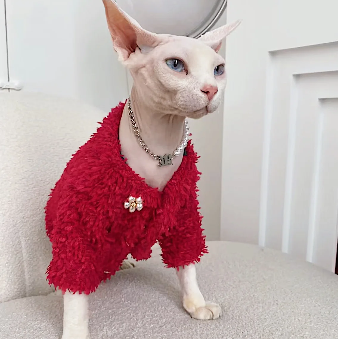 SPHYNXPLANET スフィンクス猫用秋冬保温コートの実用性と一人暮らしに適した使い方