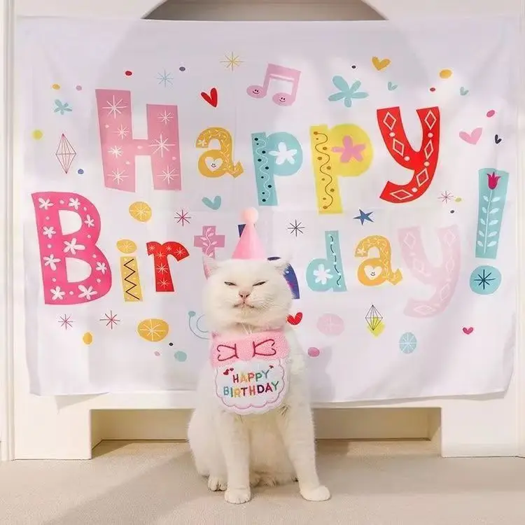 犬の誕生日プレゼントに何がおすすめ？実際の使い心地を交えて解説