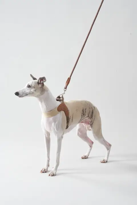 犬用軽量ハーネス【首に優しい・脱走防止・お散歩用】