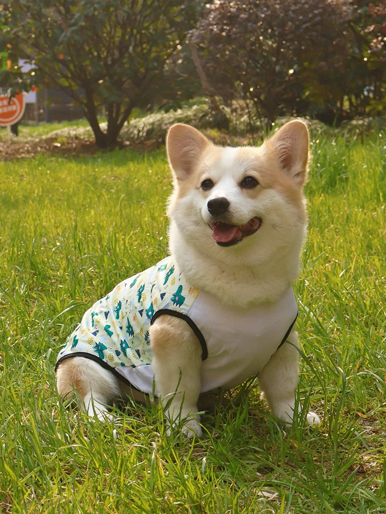 春夏用 薄手防虫＆防汚ペット用ベスト：柴犬・コーギー対応の着せやすいデザインと通気性の実証
