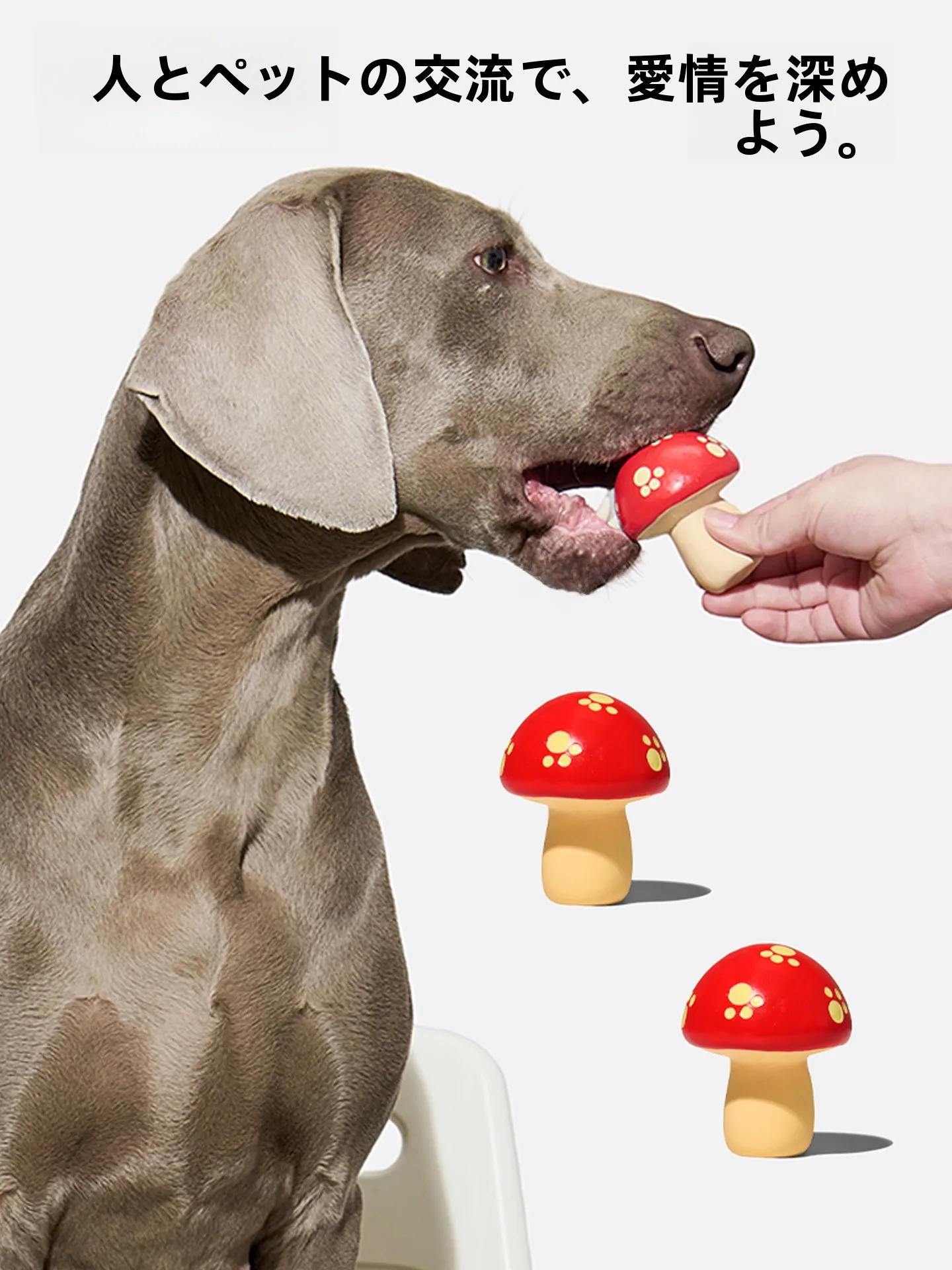 ラテックス製マッシュルーム音声ペットおもちゃ：耐噛性と犬用の実用性を検証
