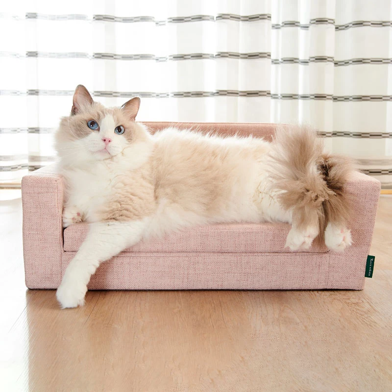 猫飼いが買ってよかったもの・悪かったもの正直に言う | 猫用ソファベッドオールシーズンモデルの実用性と設計原理