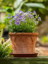 レトロ風 赤陶器花瓶【通気性・吸水性・インテリア装飾用】