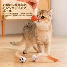 極上の柔らかさ ボール【体験用・遊び道具】