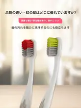 成人用小頭部ハード毛歯ブラシ【家庭用・優れた清掃力・耐久性】