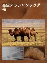 猫人 デロン 裏起毛保温 メンズインナーセット【加厚・ヒートファブリック・長袖シャツ・パンツ】