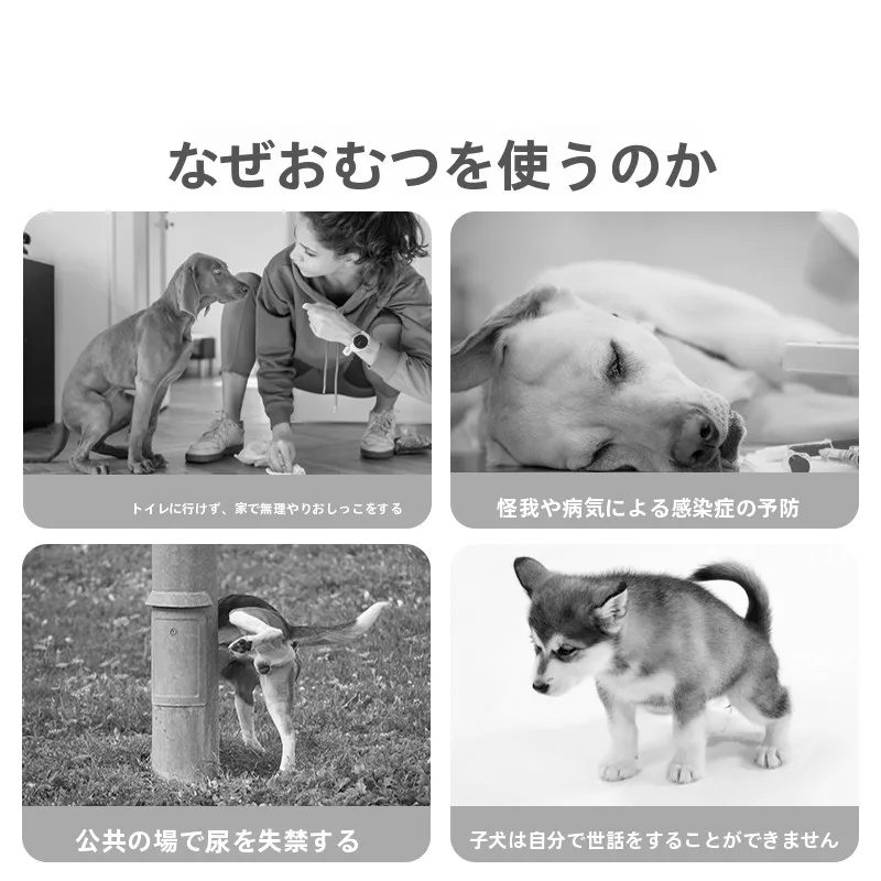 犬の清潔管理に欠かせない「生理パンツ」は、本当に必要なのか？