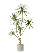 高級感ある人工緑化植物 ドラセナ【インテリア装飾・リビング用】