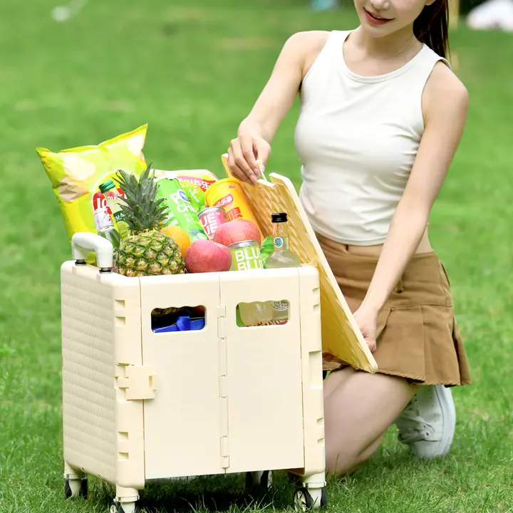 折りたたみ式ショッピングカート【家庭用・持ち運び便利・買い物や荷物運搬に最適】