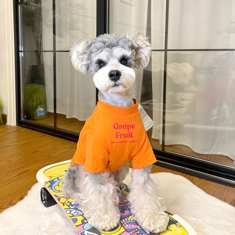 シュナウザーミックス用夏用薄手服：小型犬の快適な外出を実現