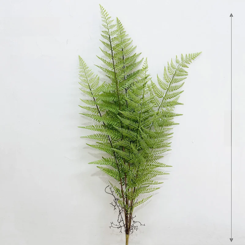 大型植物 パームリーフ 室内 レストラン 景観 装飾 グリーン植物 マーシュファーン