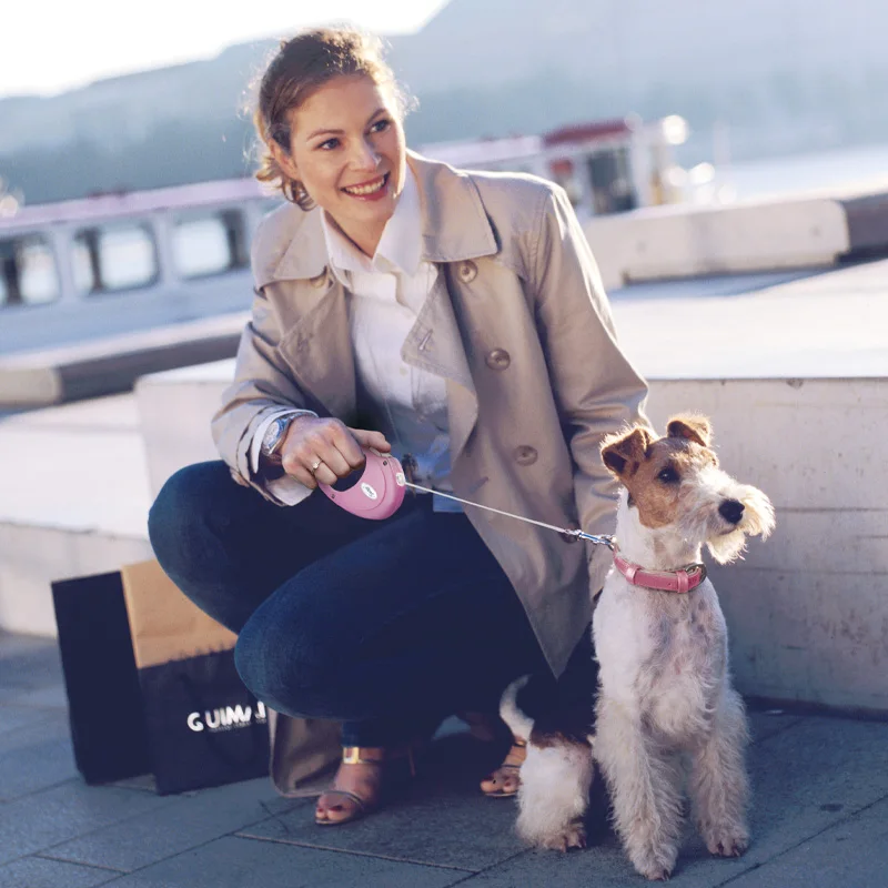 犬のお散歩グッズをコスパ良く揃える方法｜自動伸縮リードの実際の使い方と選び方