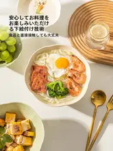 家庭用陶器製 アールヌーヴォー風ラーメンボウル【高級感あるデザイン】