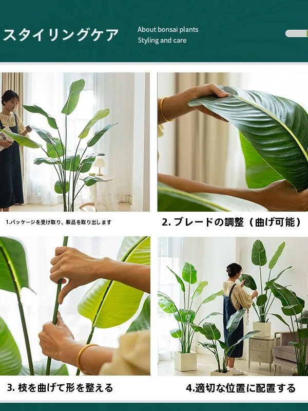 でかい観葉植物を部屋に導入するには？リアルな選び方と、心を癒す存在の秘密
