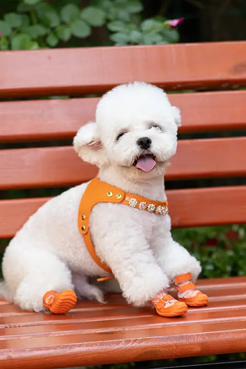 通気性のある柔らかい底の犬用シューズ【小型犬用・季節対応・タッディ用】