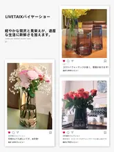 北欧風 透明金縁ガラス花瓶【水耕栽培・インテリア・ドライフラワー用】