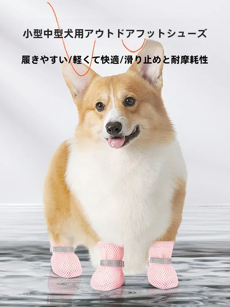 犬のお散歩グッズをコスパ良く揃える方法　通気性とサイズの選び方を徹底解説