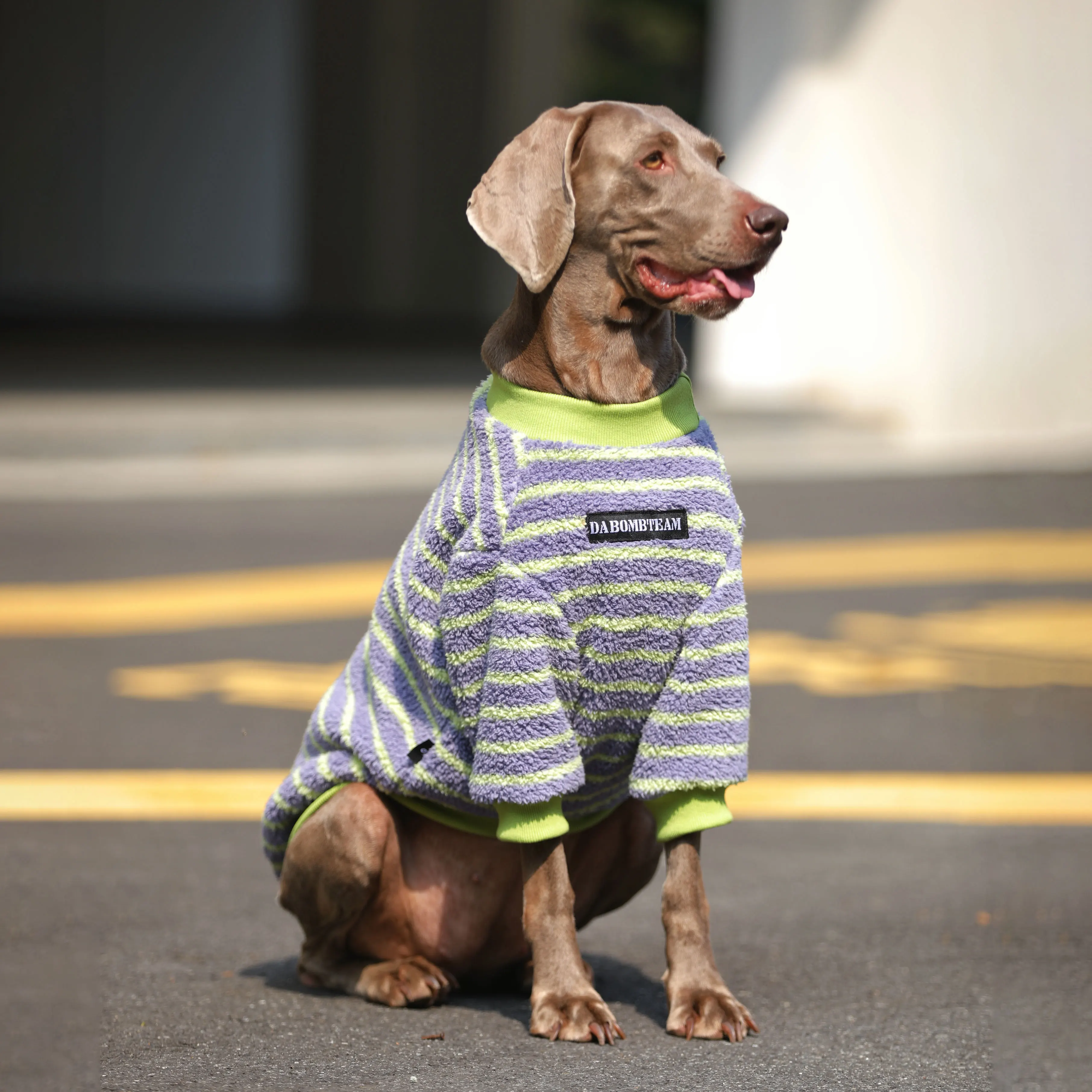 大型犬用ハンモックは冬のアウトドアで保暖性と通気性のバランスを実現