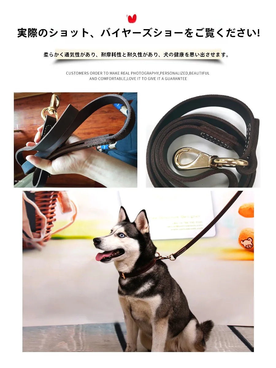 犬のお散歩グッズをコスパ良く揃える方法｜牛革リードの本質と選び方の完全ガイド