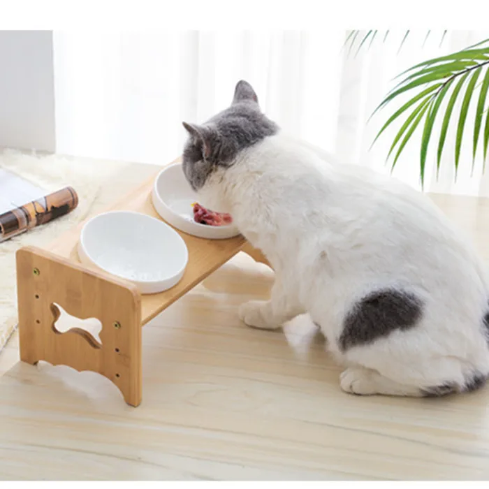 猫飼いが買ってよかったもの・悪かったもの正直に言う｜水飲みボウルの実測ガイド