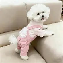 薄手夏用犬服【春夏用・うさぎ耳付き・小型犬用・四脚デザイン】（セットアップ対応）